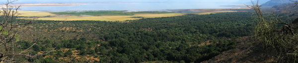 panorama tarangire