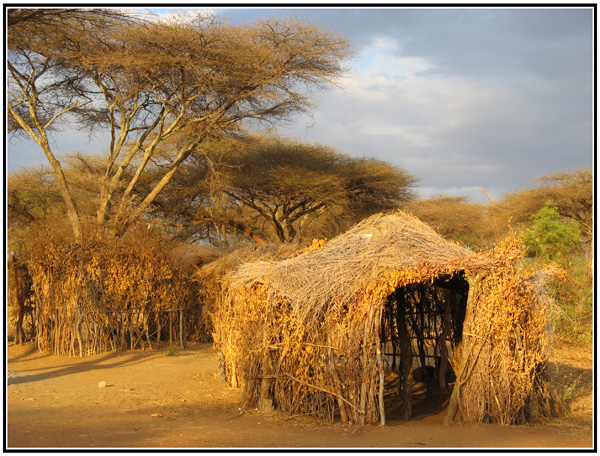 bar tanzanie