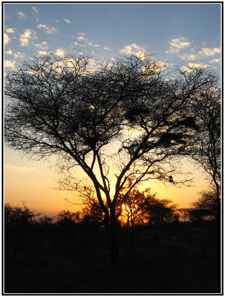 nuit tanzanie