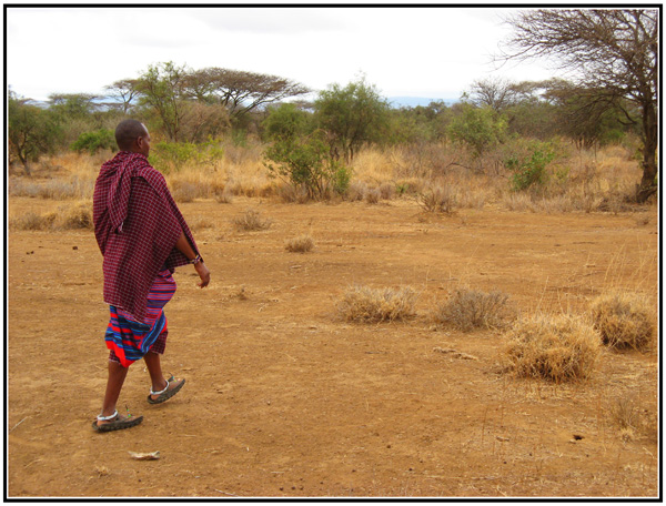 masai savane