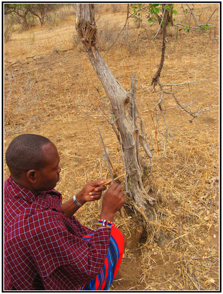 remede tanzanie