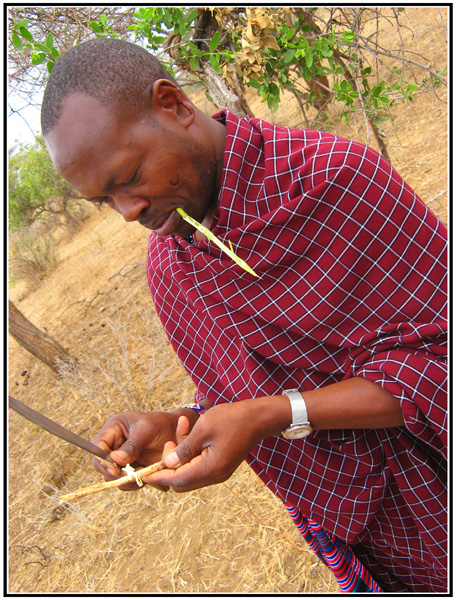 dent tanzanie