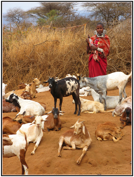 lait masai