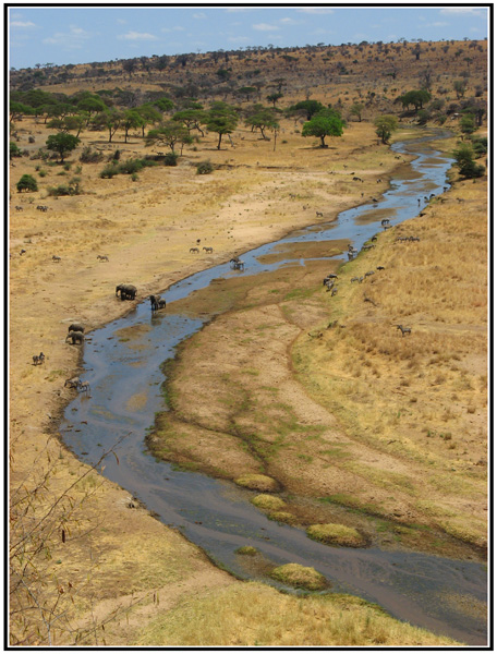 riviere tarangire