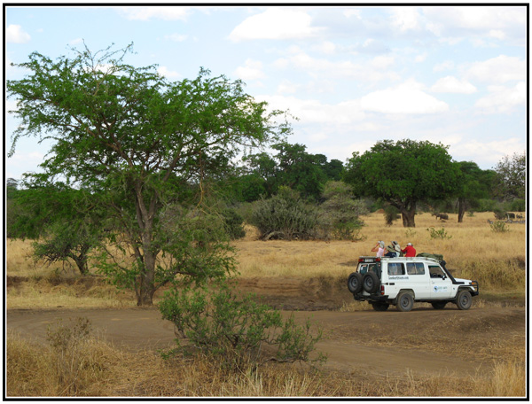 voiture tanzanie