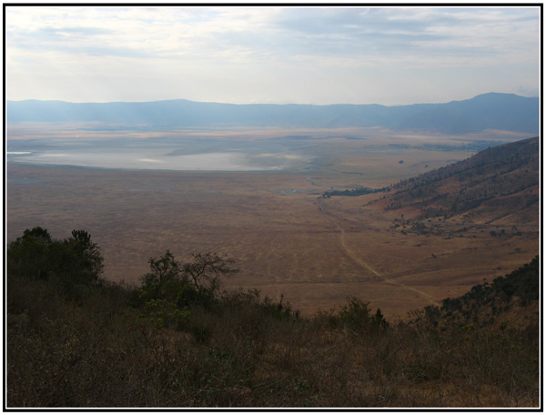 ngorongoro