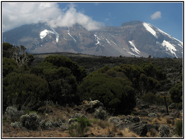 vue sur le kili