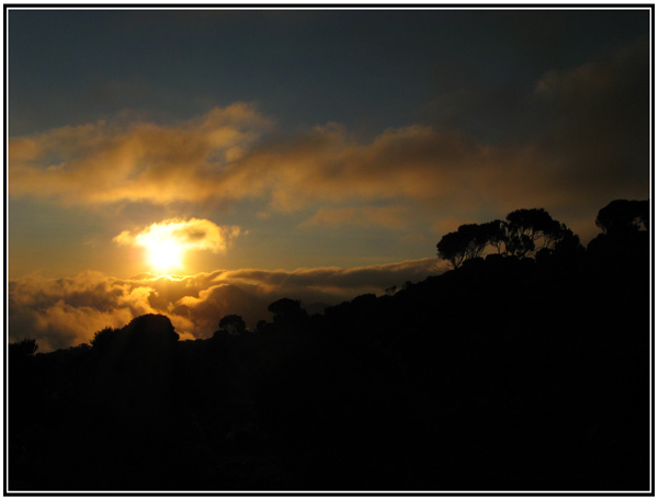 Couch&eacute; de soleil