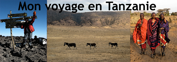 titre voyage tanzanie